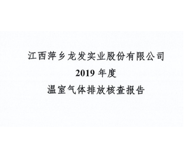 江西萍鄉龍發實業股份有限公司2019年碳核查報告